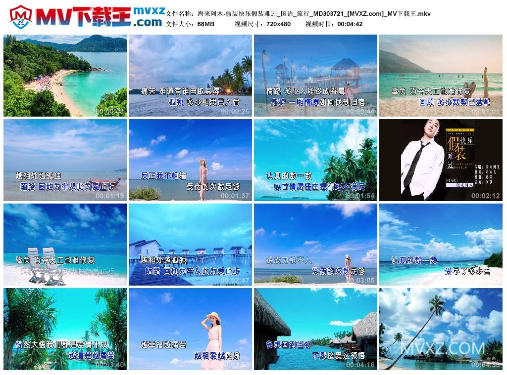 海来阿木-假装快乐假装难过_国语_流行_MD303721